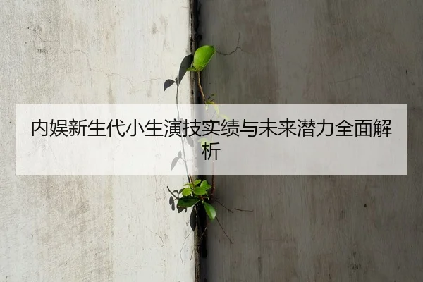 内娱新生代小生演技实绩与未来潜力全面解析